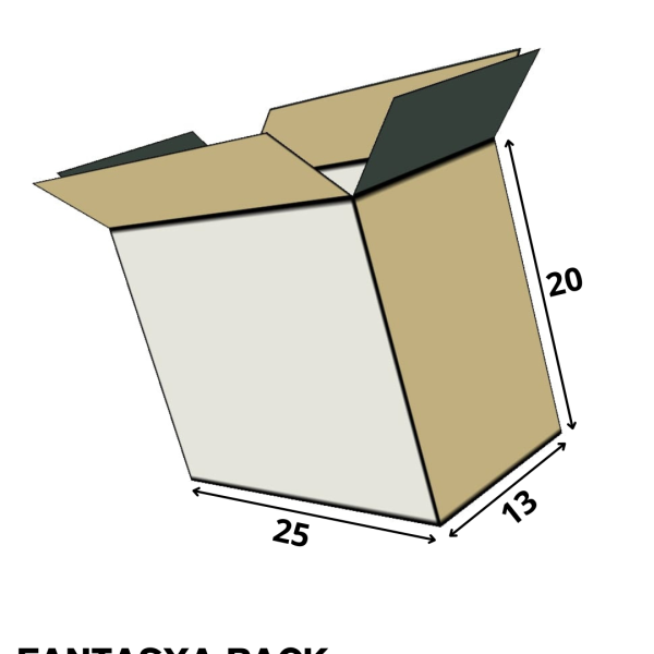 boite carton ouverte 25cm 13cm 20cm